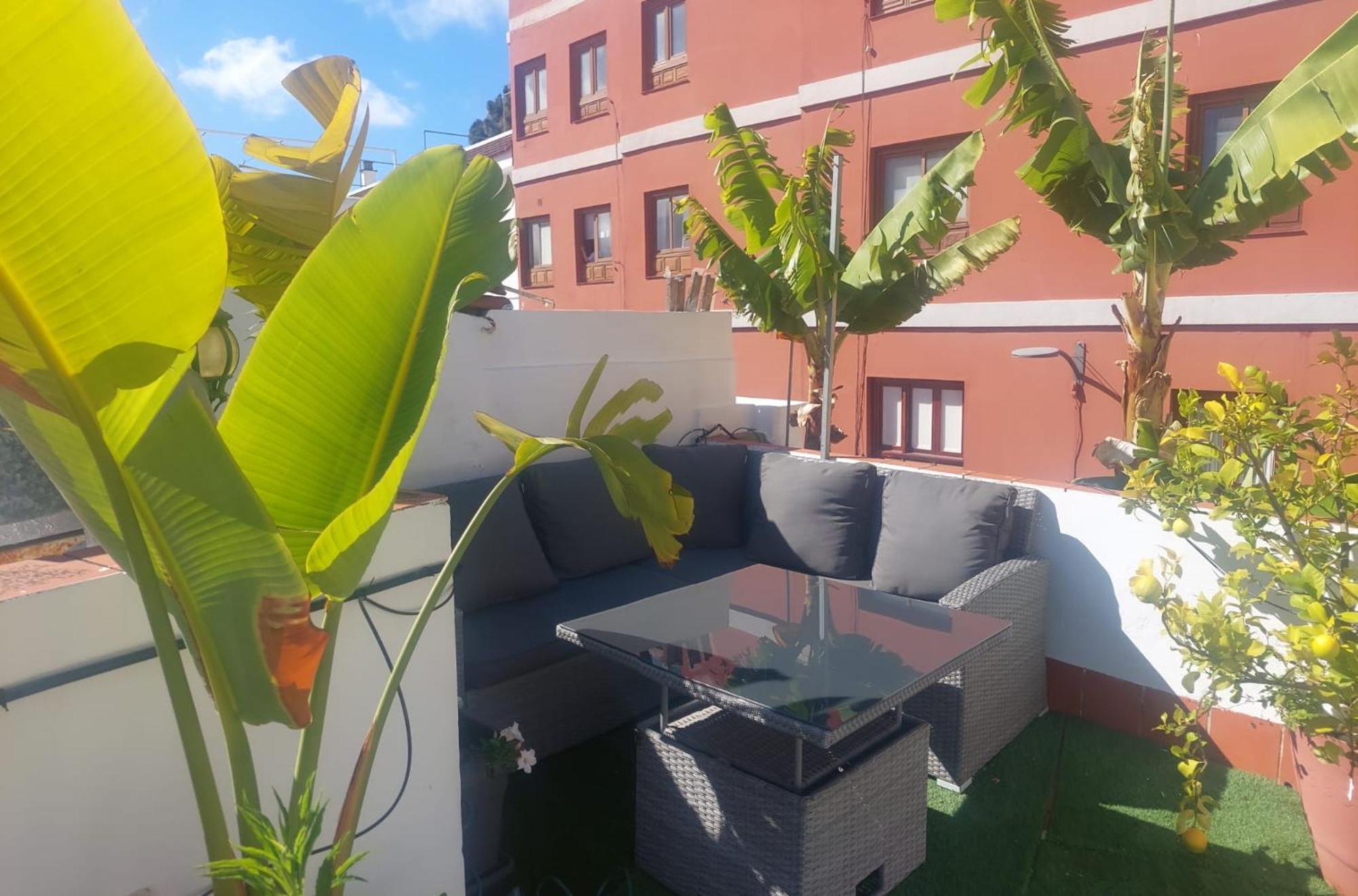 Agradable Casa Con Terraza Apartment La Laguna  Ngoại thất bức ảnh